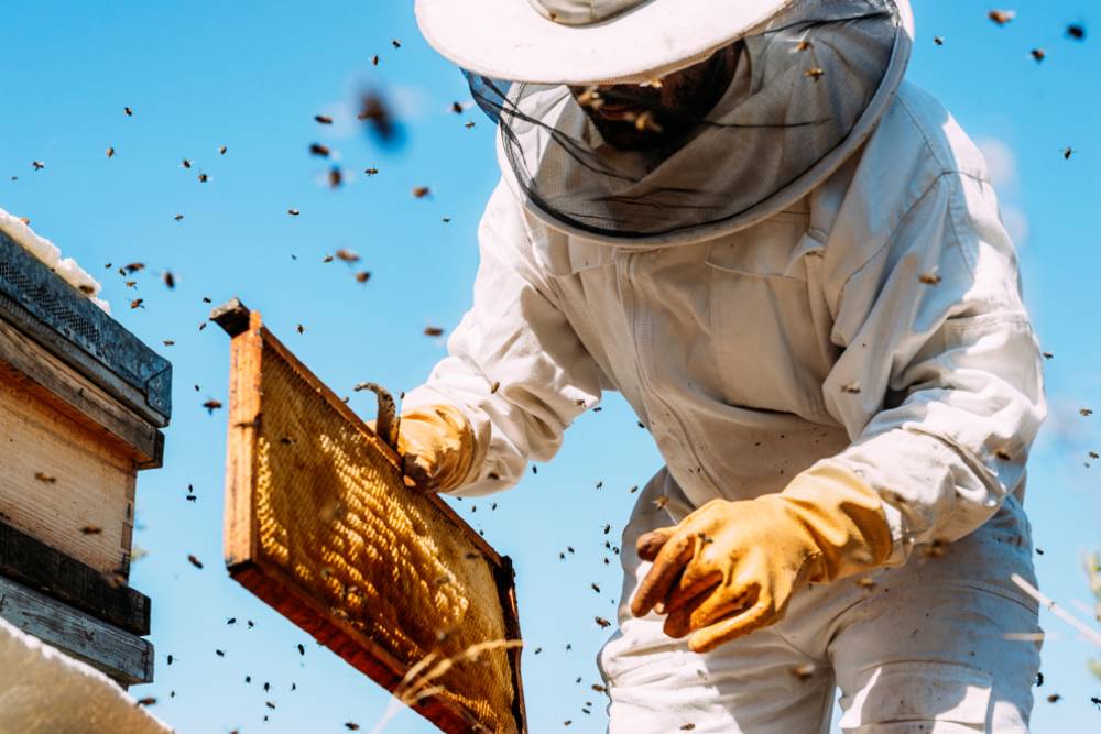 oprema pčelarstvo
