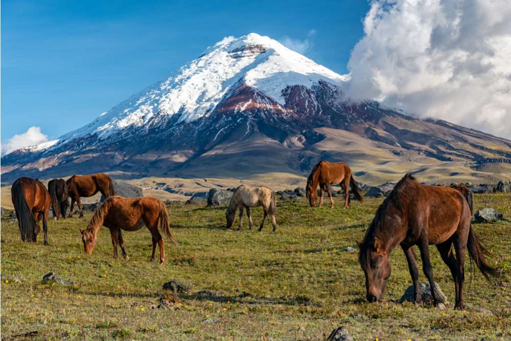 vulkan cotopaxi